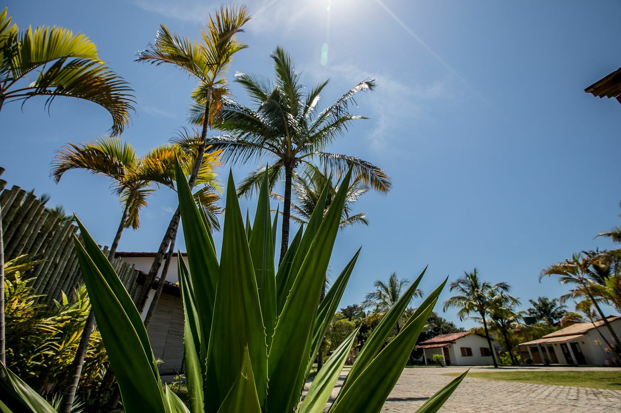 Vila Morena ตรันโกโซ ภายนอก รูปภาพ